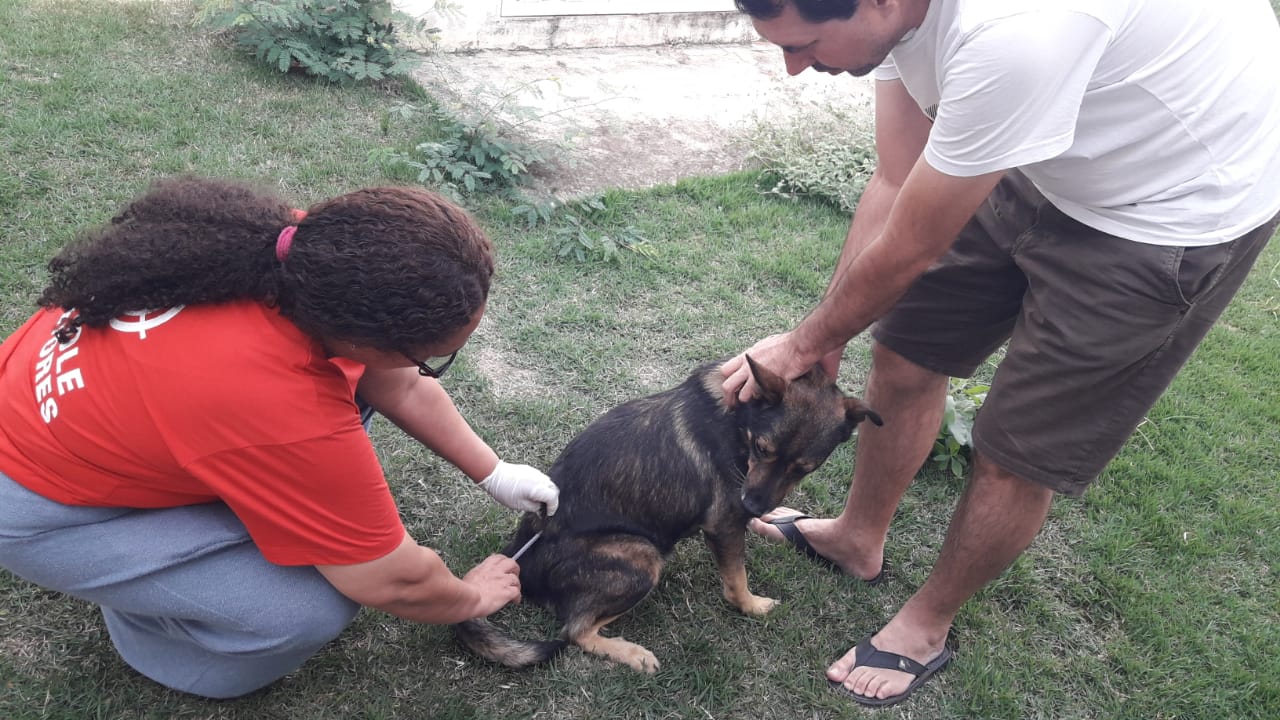 ​Zoonoses alerta para vacinação de pets após confirmação de novo caso de raiva animal